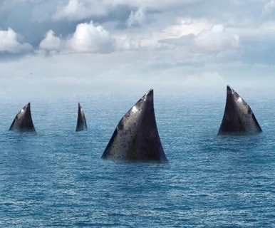 同一日同一原因，2家上市照企，被终止挂牌！还有3家也很危险！！